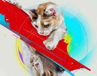 Vəkillər Kollegiyası üzvlərinin növbəti konfransı keçirilib